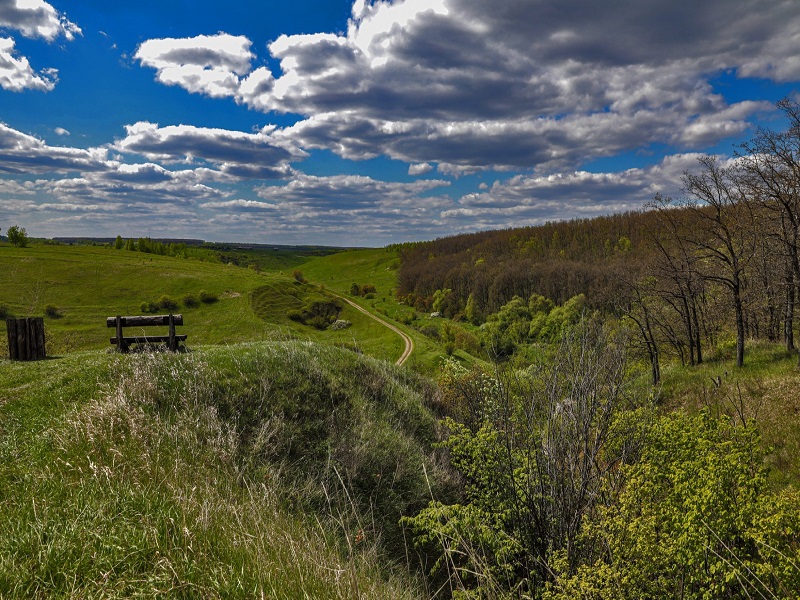 ОБЩЕСТВЕННЫЕ ОБСУЖДЕНИЯ.
