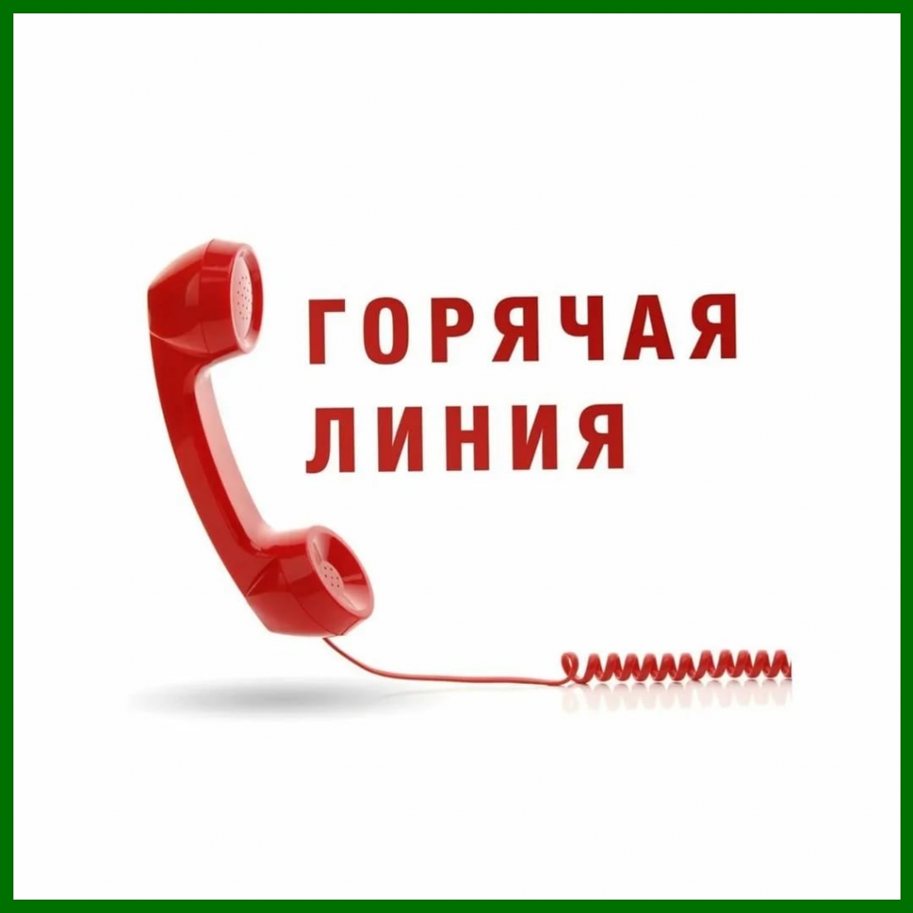 Горячая линия по вопросам системы отопления.