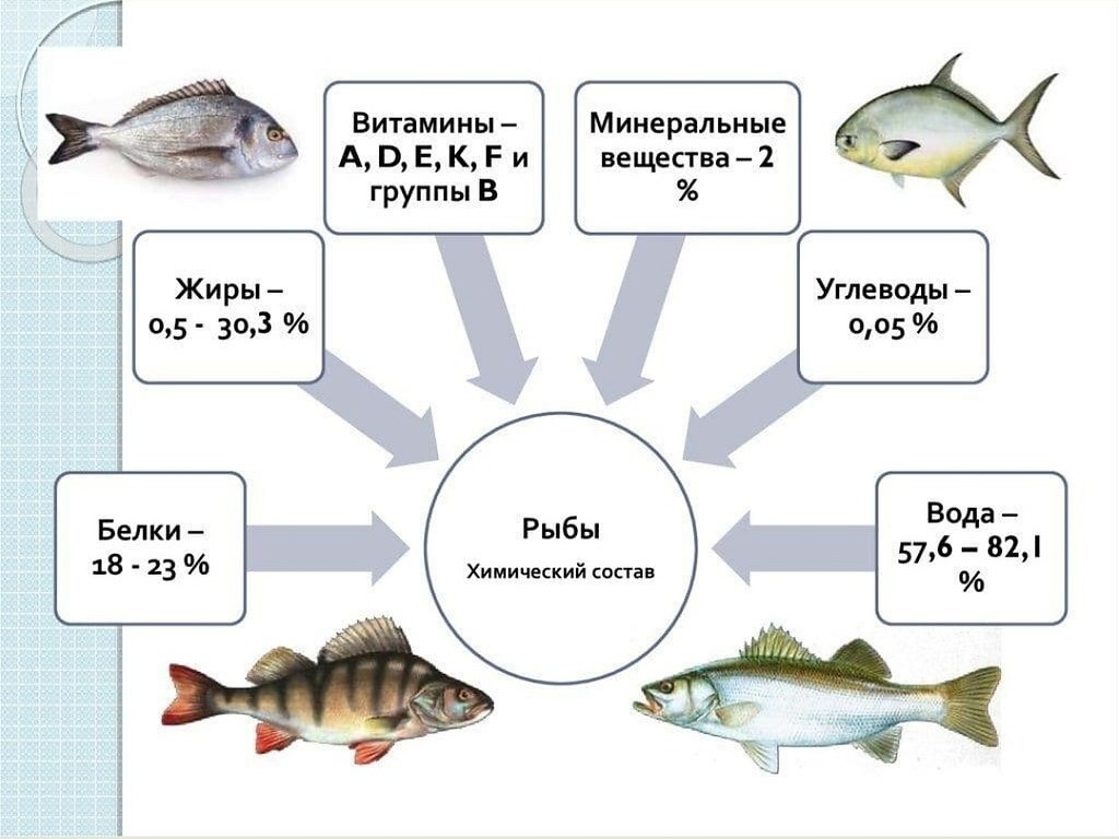 Предлагаем вам ознакомиться с памяткой о пользе рыбы и рыбопродуктов для здорового питания человека.