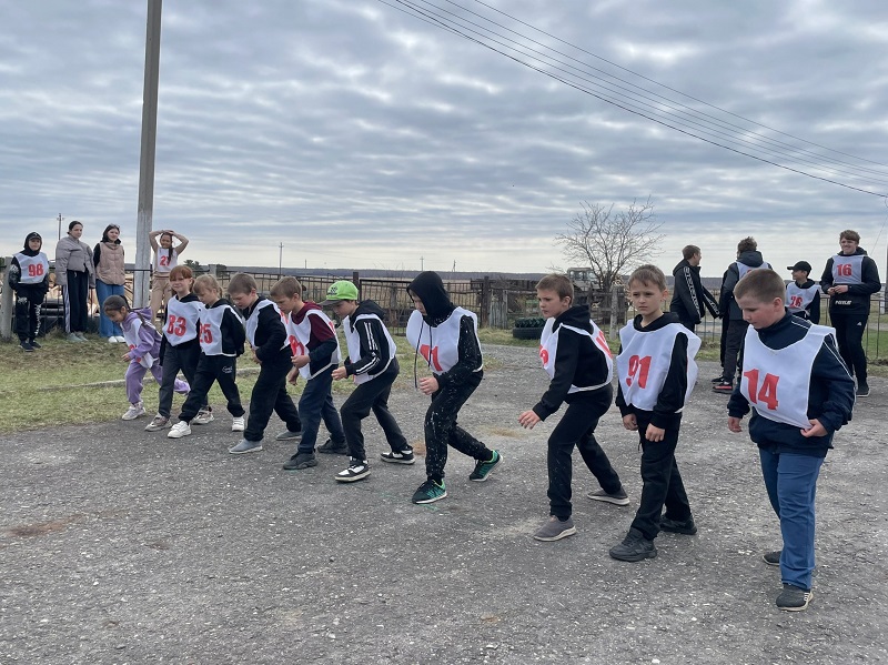 ЛЕТНИЙ ФЕСТИВАЛЬ ВФСК ГТО.