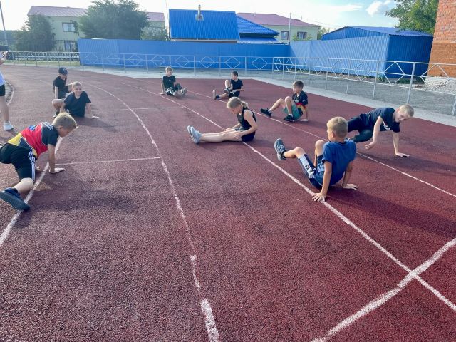 ТХЭКВОНДИСТЫ ВЫПОЛНЯЮТ НОРМЫ ВФСК ГТО!.