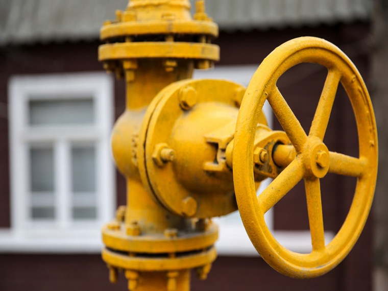 Регулярный доступ к внутридомовому и (или) внутриквартирному газовому оборудованию.