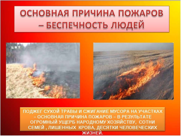 Памятки по профилактике и предупреждению выжигания сухой травянистой растительности.