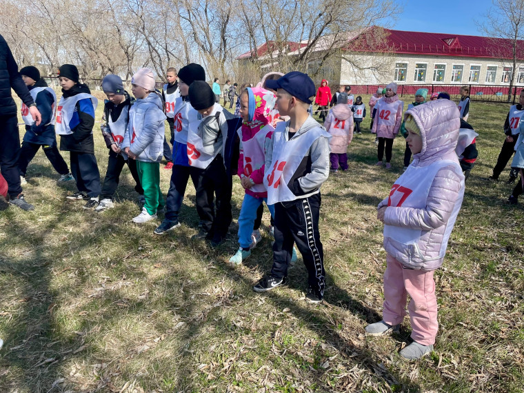 ЛЕТНИЙ ФЕСТИВАЛЬ ВФСК ГТО.